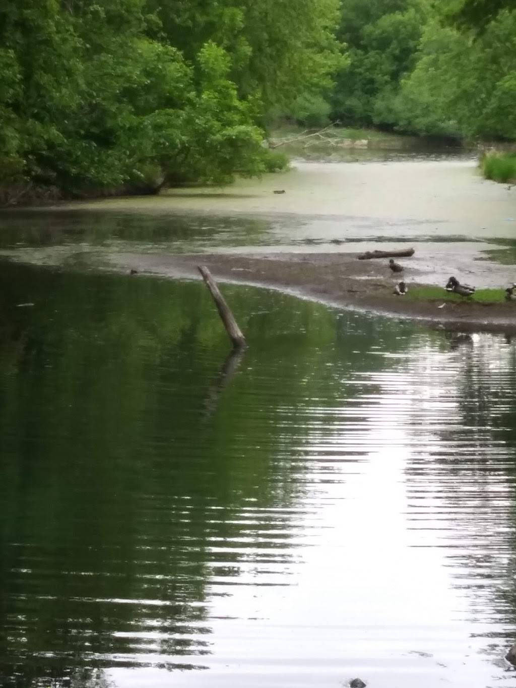 Palmer Lake Environmental Nature Area | 2800 69th Ave N, Brooklyn Center, MN 55430 | Phone: (763) 569-3400