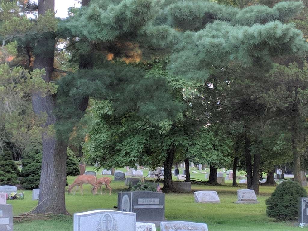 Hillside Cemetery | 2556 Susquehanna Rd, Roslyn, PA 19001, USA | Phone: (215) 884-0696