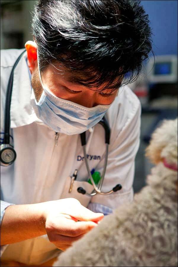 TLC Animal Clinic | 2575 Chino Hills Parkway, Ste B, Chino Hills, Ca 91709, Chino Hills, CA 91709, USA | Phone: (909) 606-1588