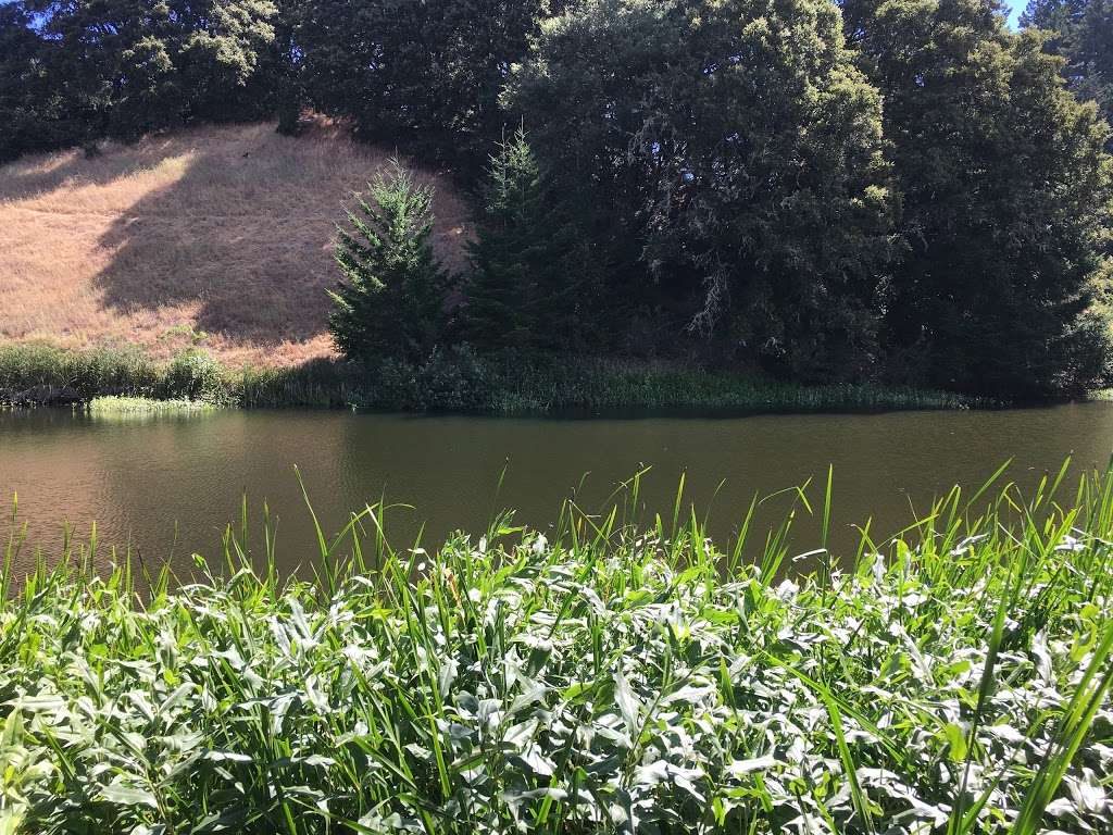 Horseshoe Lake in Los Gatos, CA 95033, USA