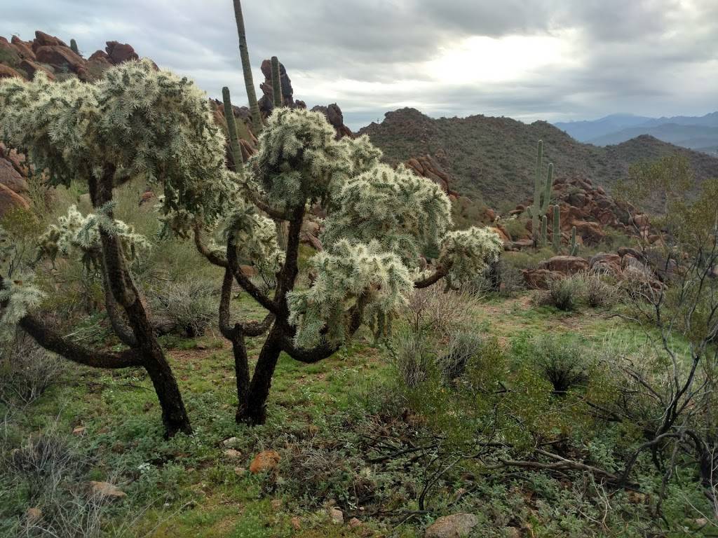 Sunrise Trail Scenic View | Sunrise Trail, Scottsdale, AZ 85259, USA