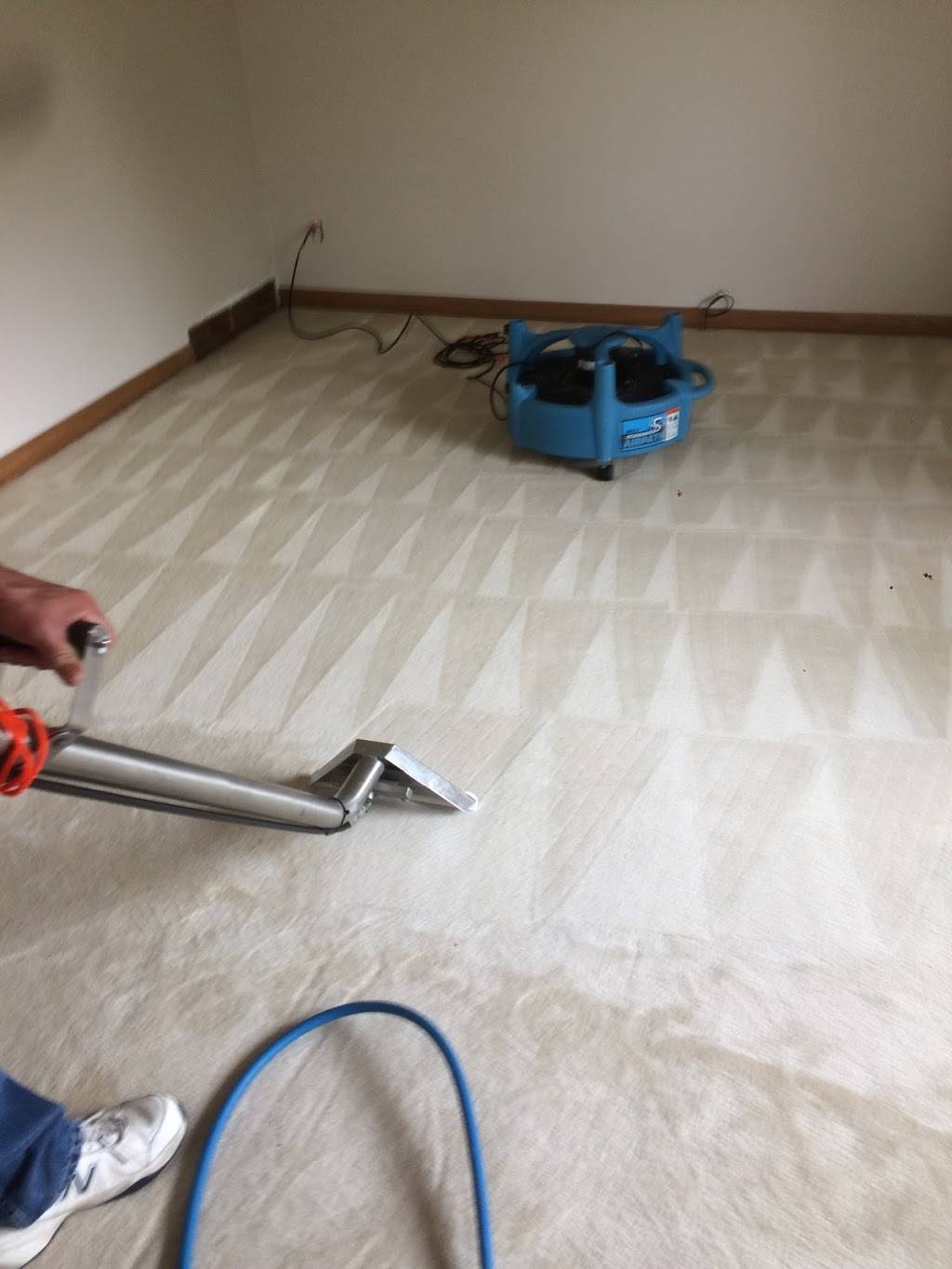 Morrows Elite Carpet Cleaning | 8104 Monroe Rd, Lambertville, MI 48144, USA | Phone: (419) 343-5620