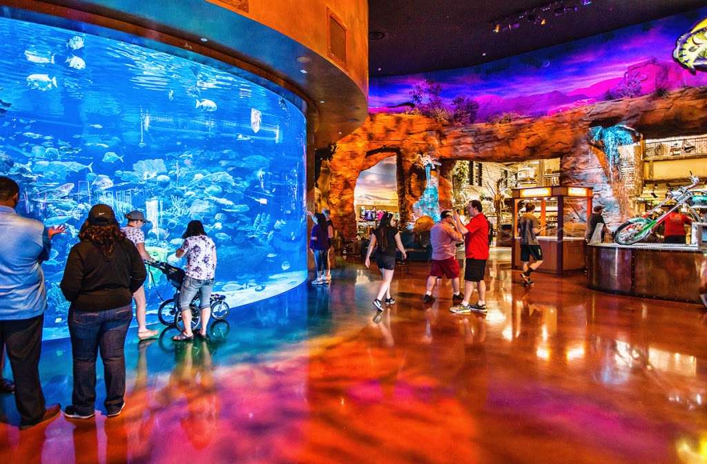 The Aquarium at the Silverton Hotel | 3333 Blue Diamond Rd, Las Vegas, NV 89139, USA | Phone: (702) 263-7777