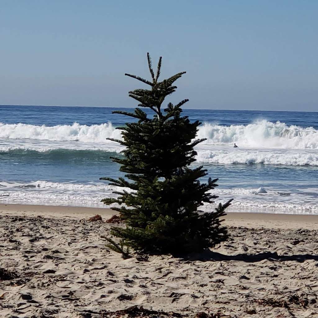 Wings Beachwear | 3136 Mission Blvd, San Diego, CA 92109, USA | Phone: (858) 251-1663