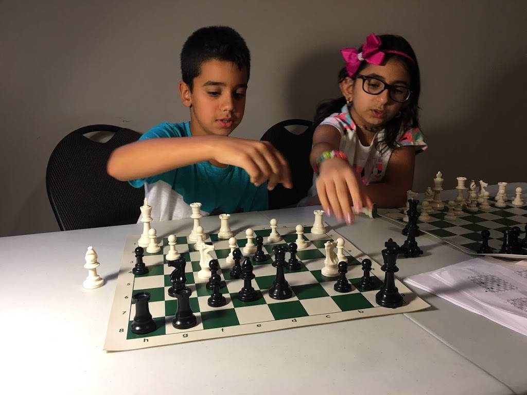 Professional Chess Coach | 897 Nova St, Windsor, ON N9G 2S6, Canada | Phone: (647) 835-1410