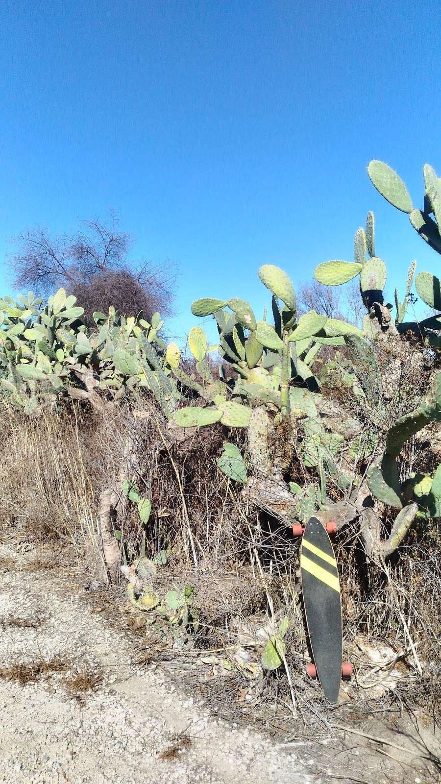 San Luis Rey River Trail - Easternmost Access Point | N Santa Fe Ave, Oceanside, CA 92057, USA