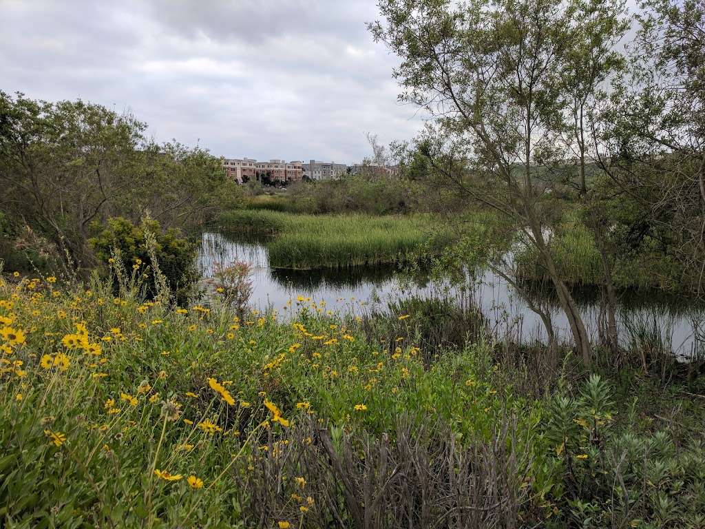 Ballona Freshwater Marsh | Lincoln Blvd, Playa Del Rey, CA 90293, USA | Phone: (310) 306-5994