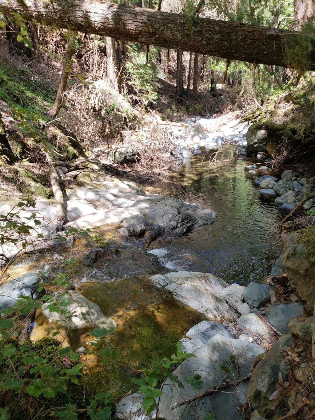 Walk at Sugarloaf Ridge State Park | 2605 Adobe Canyon Rd, Kenwood, CA 95452, USA | Phone: (707) 833-6288