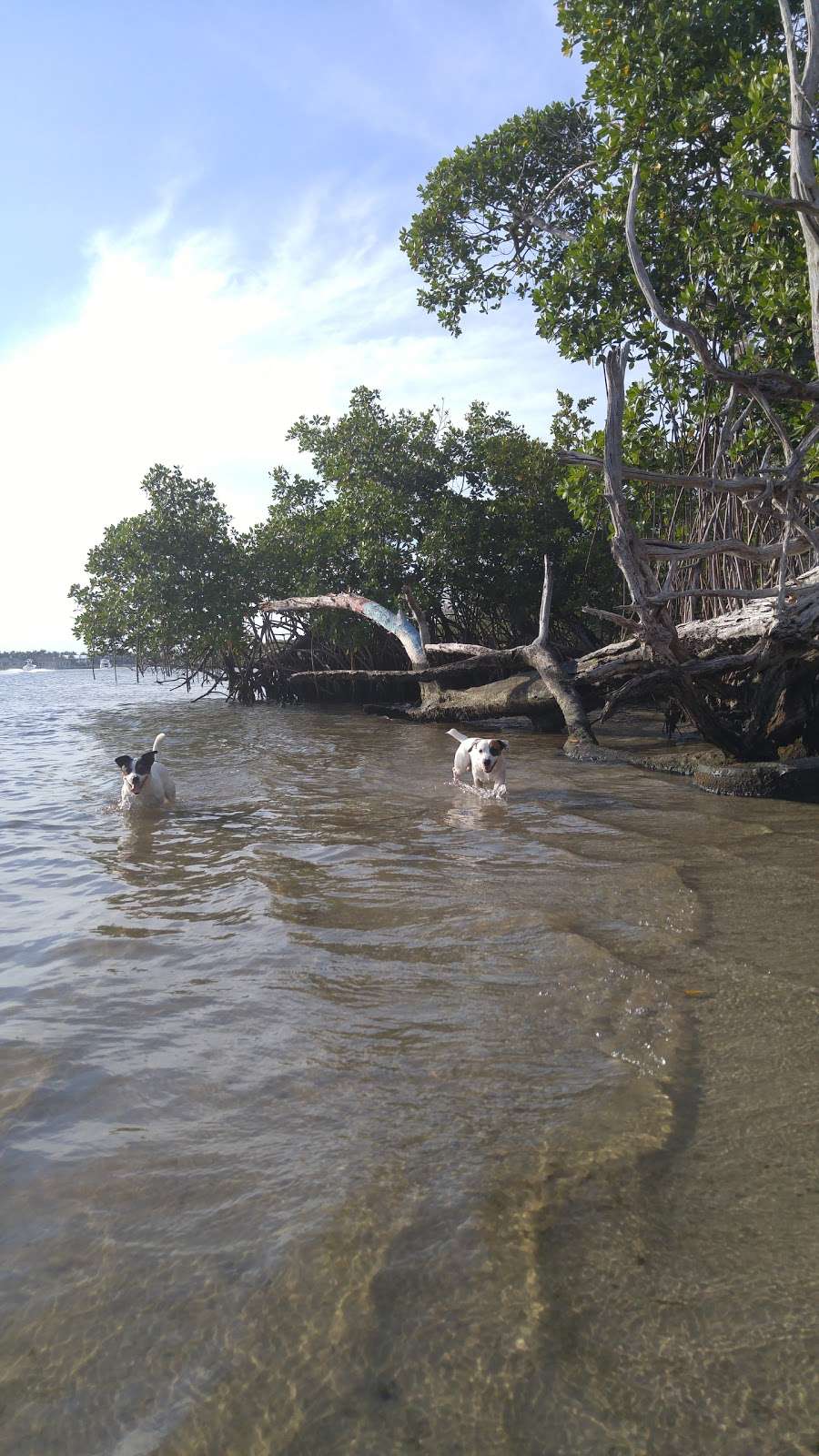 FIND dog park | 232 River Park Dr, Jupiter, FL 33477, USA