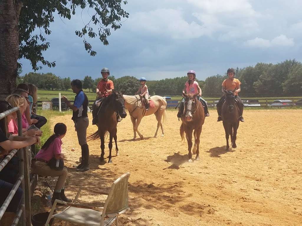 Dream Horse Equestrian Center | 22440 FL-44, Eustis, FL 32736, USA | Phone: (352) 636-4829