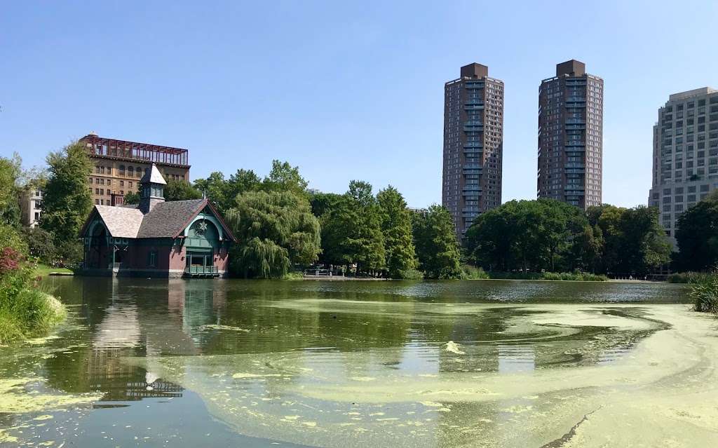 Harlem Meer | 1-99 Central Park N, New York, NY 10026, USA | Phone: (212) 310-6600