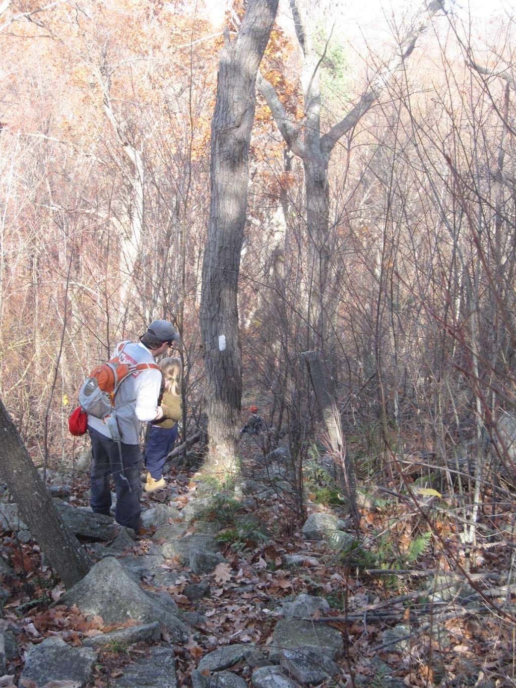 Appalachian Trail | Louemma Ln, Glenwood, NJ 07418, USA