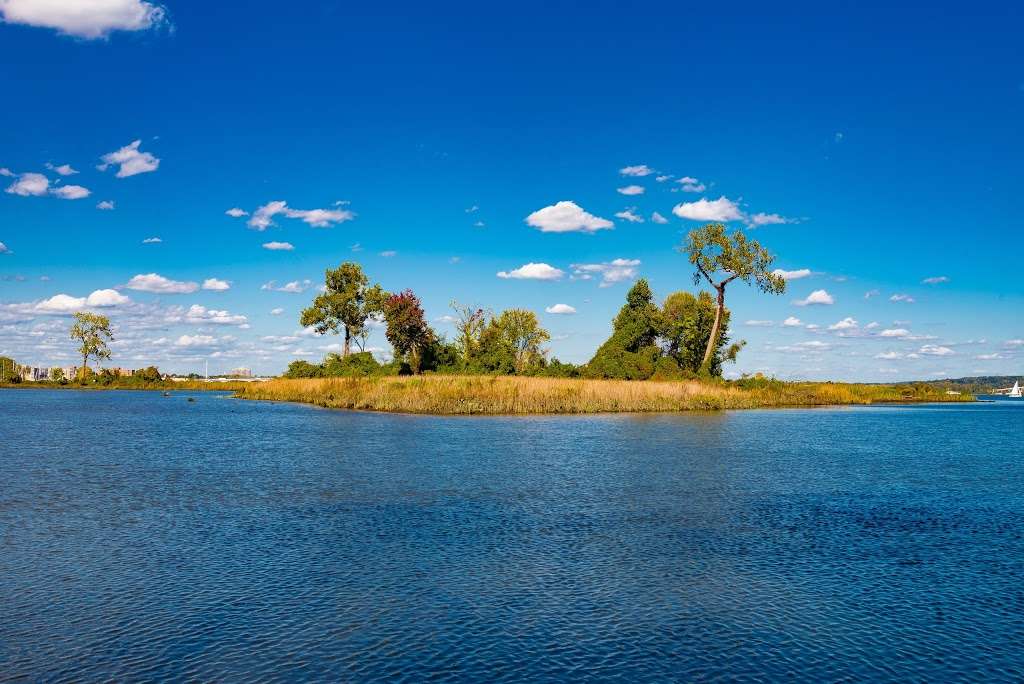 Dyke Marsh Wildlife Preserve | Alexandria, VA 22307 | Phone: (703) 235-1530