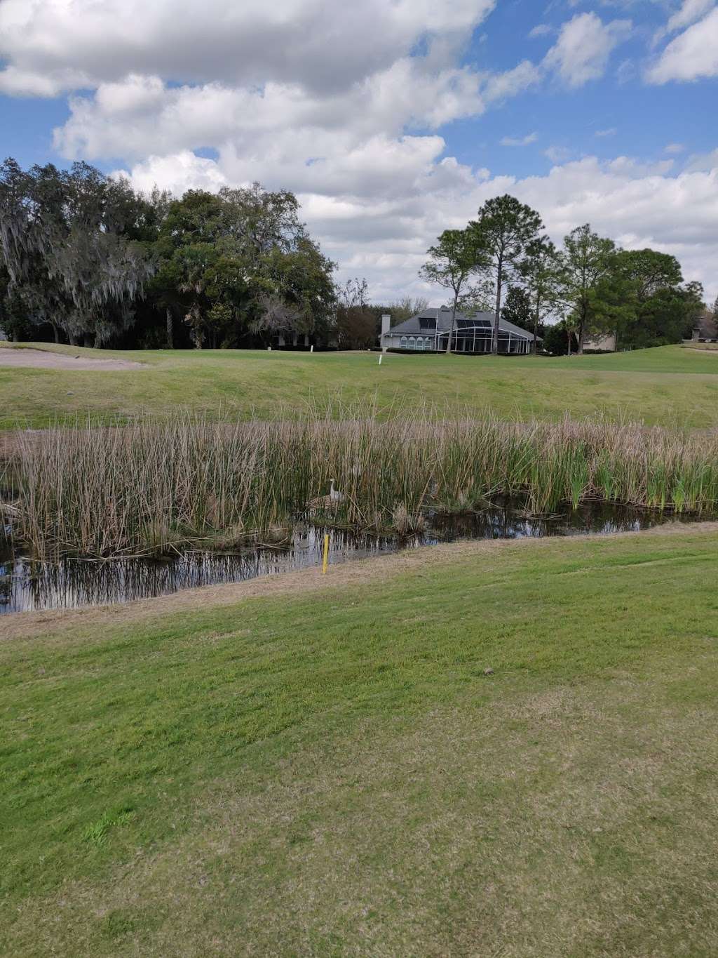 Mt Dora Golf & Lake Realty | 4005 Coachshire Way, Mt Dora, FL 32757, USA | Phone: (352) 385-0906