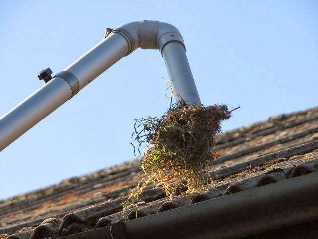 Advanced Hygiene Gutter Cleaning | Long Green,, Long Green, Nazeing, Waltham Abbey EN9 2LS, UK | Phone: 01992 817026