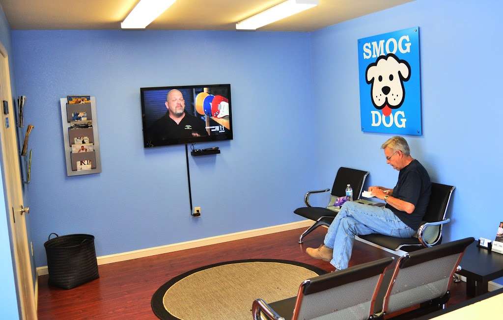 Smog Dog | 1250 Contra Costa Blvd, Pleasant Hill, CA 94523, USA | Phone: (925) 691-1045