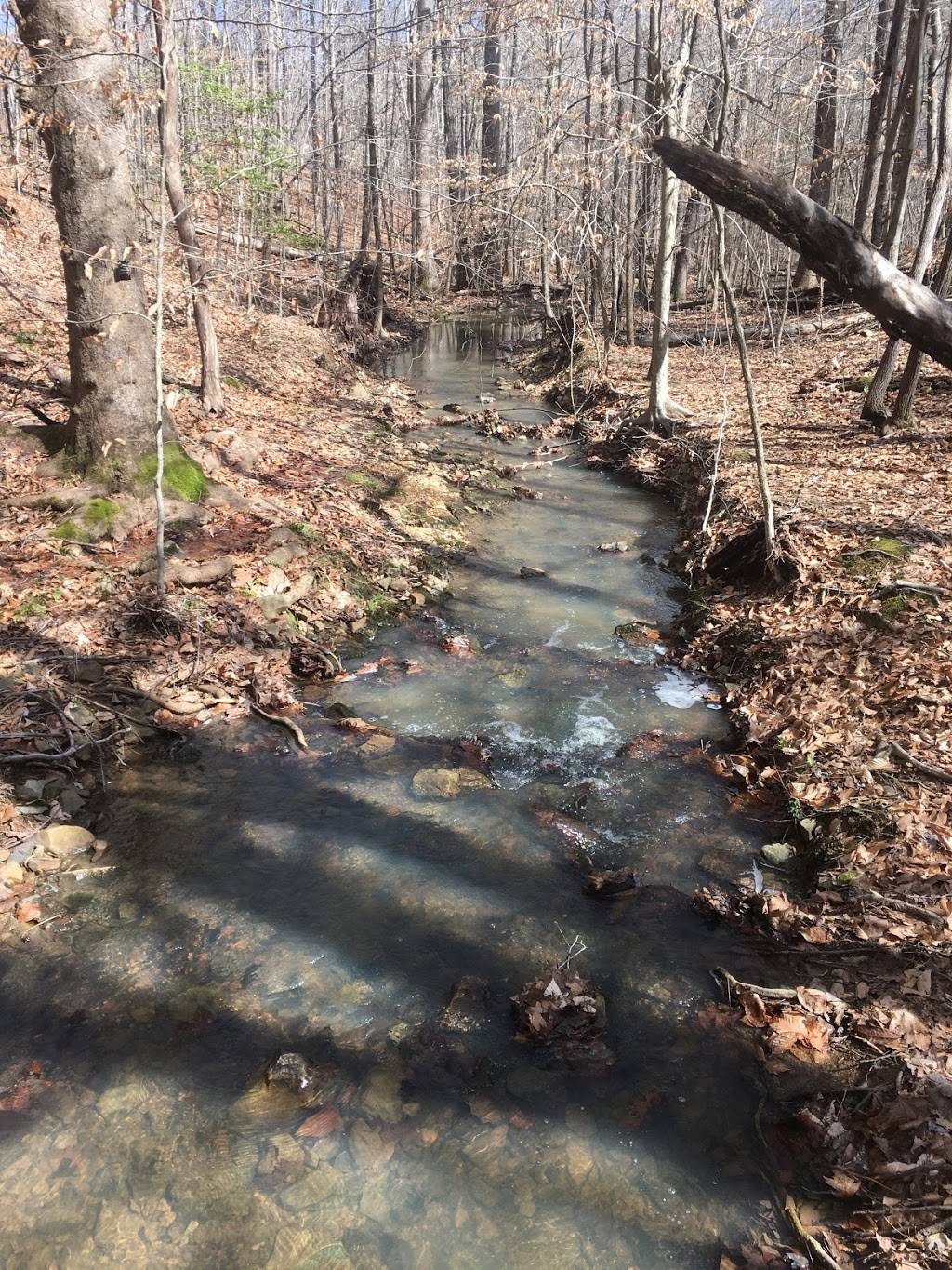 Shepherd Nature Trail | NC-751, Durham, NC 27705, USA | Phone: (919) 613-8013