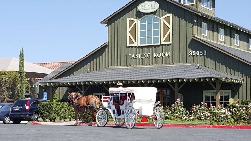 The Restaurant at Ponte | 35053 Rancho California Rd, Temecula, CA 92591, USA | Phone: (951) 252-1770