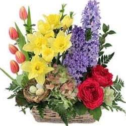 Annabelles Flowers | 28 Cedar St, Foxborough, MA 02035, USA | Phone: (508) 285-6400
