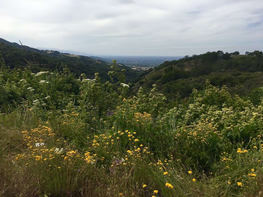 Almaden Quicksilver County Park | New Almaden Trail, San Jose, CA 95120, USA | Phone: (408) 535-4070 Almaden Quicksilver County Park | New Almaden Trail, San Jose, CA 95120, USA | Phone: (408) 535-4070