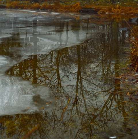 North Lake Beach And Park | Ridge Rd, Dingmans Ferry, PA 18328, USA