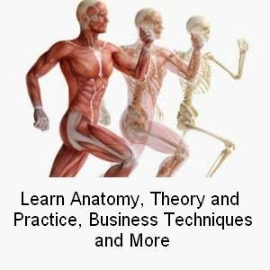 Baltimore School of Reflexology | 1006 Wilson Point Rd b, Middle River, MD 21220, USA | Phone: (443) 842-3122