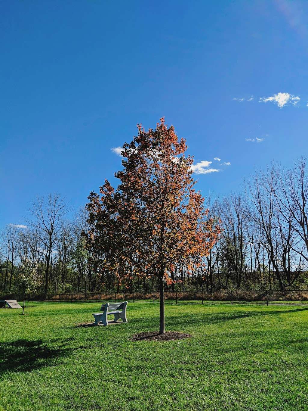 Allen Township Dog Park | Northampton, PA 18067, USA