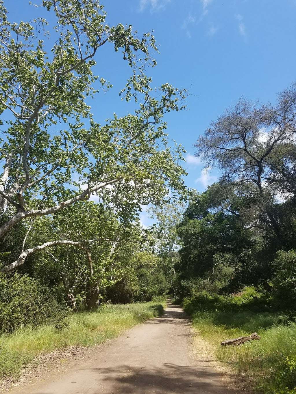 San Clemente Park | San Diego, CA 92117, USA