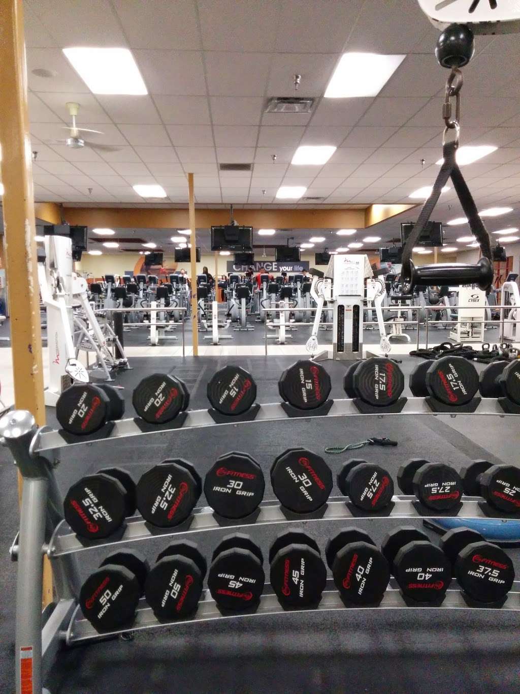 24 Hour Fitness Active | 15315 Culver Dr #165, Irvine, CA 92604, USA | Phone: (949) 262-0600