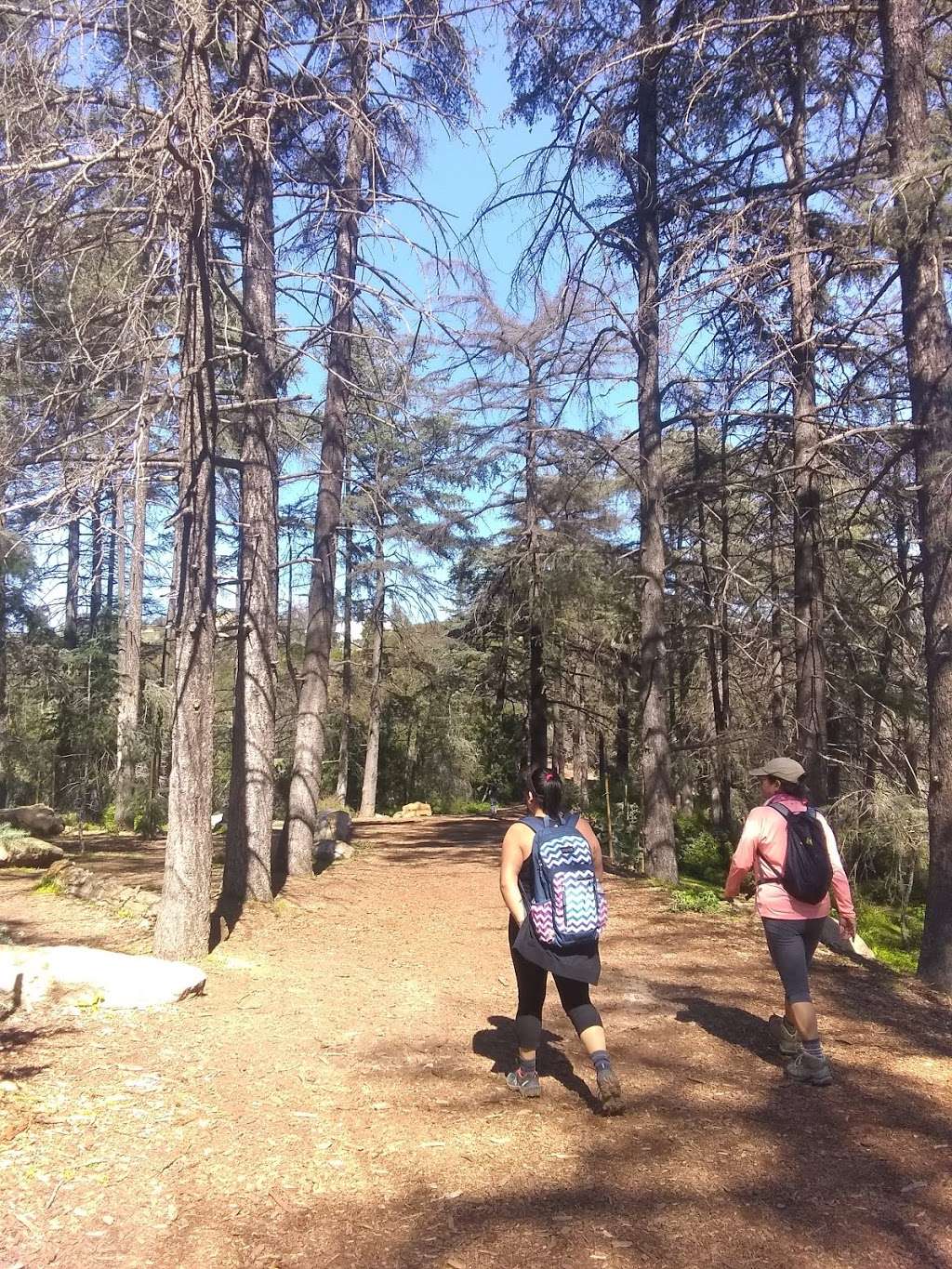 Griffith Parking Hiking Trail 1 | Mineral Wells Rd, Los Angeles, CA 90027