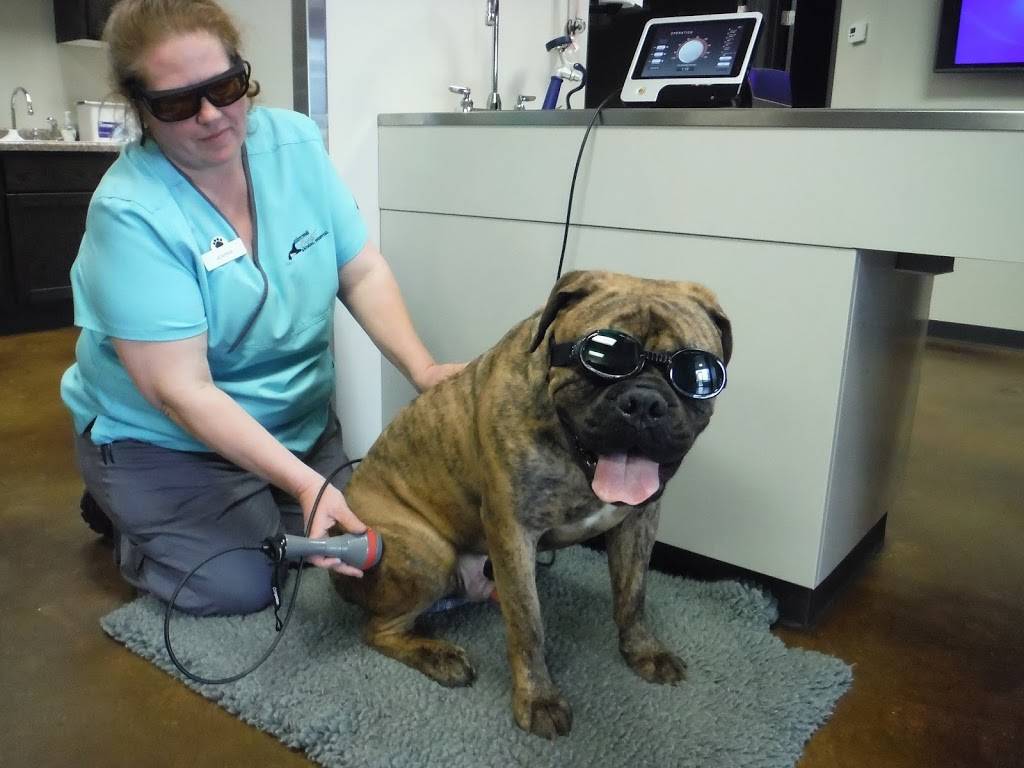 Edmond East Animal Hospital | 5825 E Covell Rd, Edmond, OK 73034, USA | Phone: (405) 701-9000