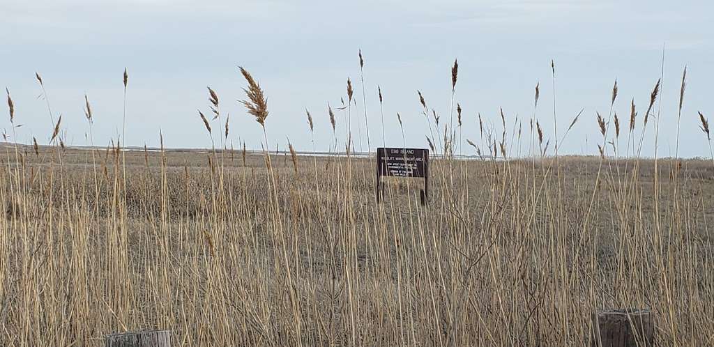 Egg Island Fish and Wildlife Management Area | Fortescue, NJ 08321