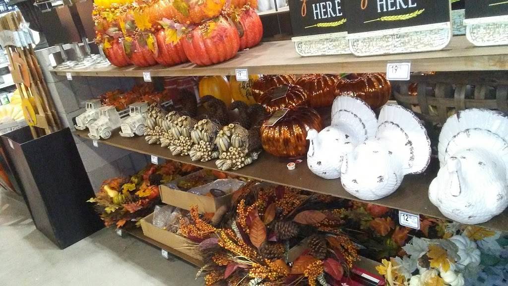 Lowes Garden Center | 734 S Gilbert Rd, Gilbert, AZ 85296, USA | Phone: (480) 558-1007