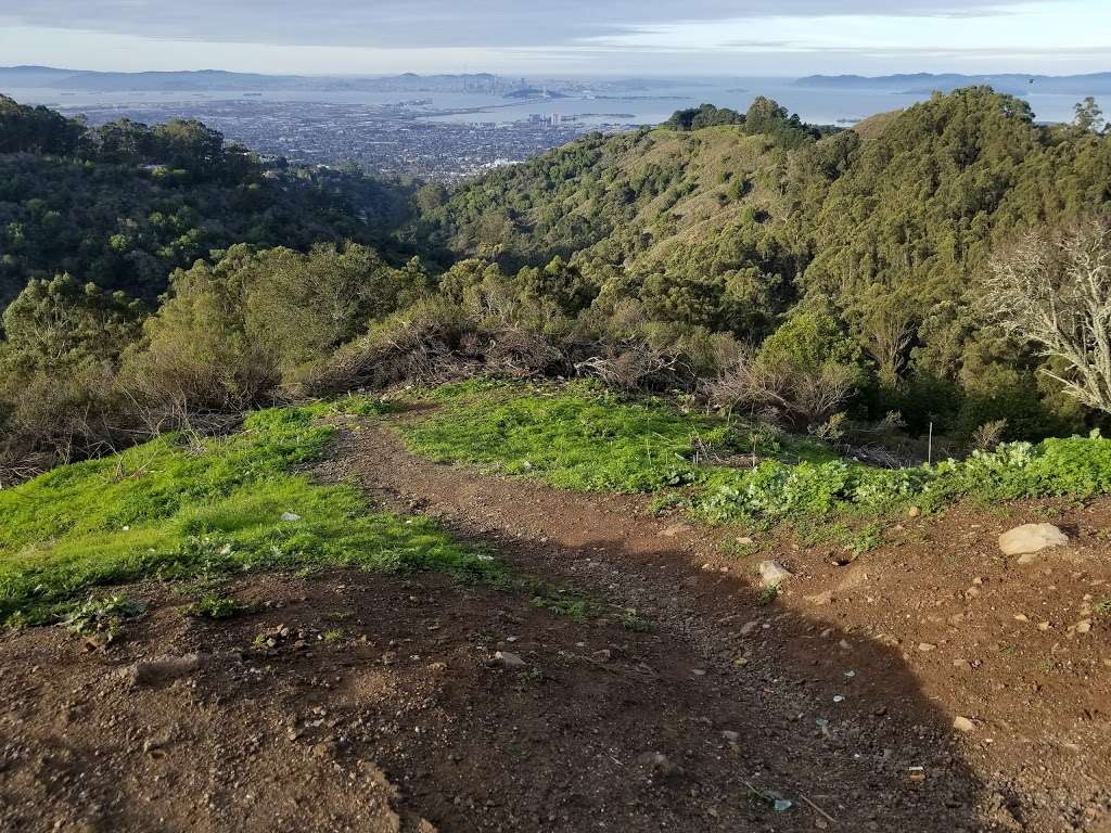 Seaview Trailhead | Seaview Trail, Orinda, CA 94563