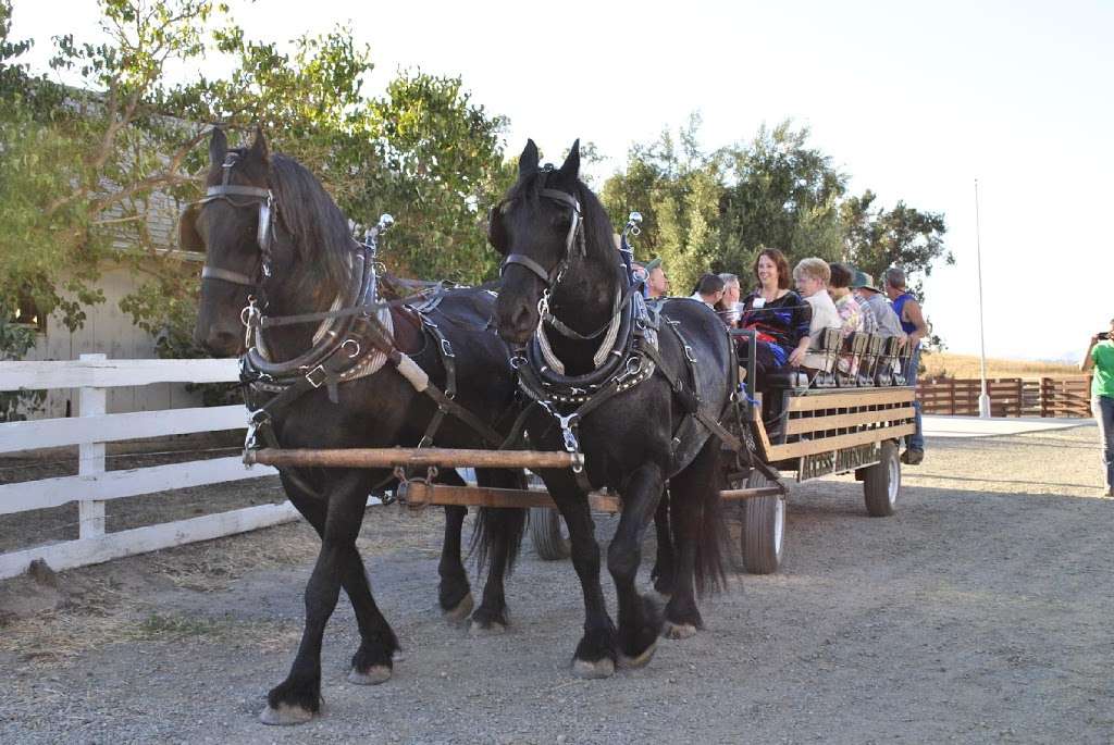 Rush Ranch Open Space | 3521 Grizzly Island Rd, Suisun City, CA 94585, USA | Phone: (707) 432-0150