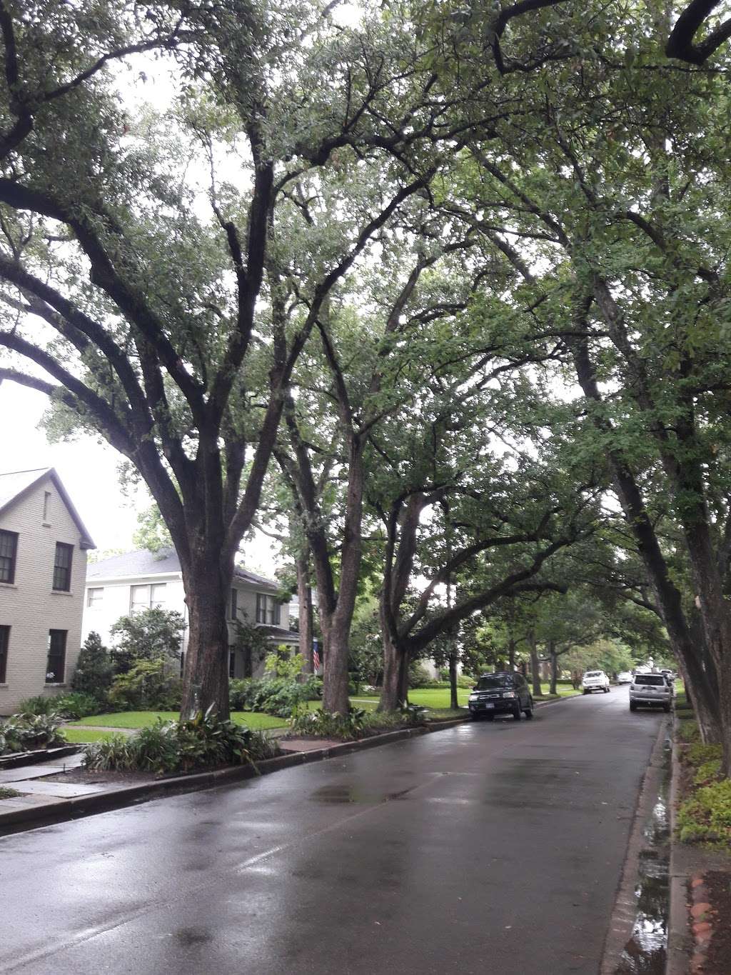 Greenbriar Dr @ Robinhood St | Houston, TX 77005, USA