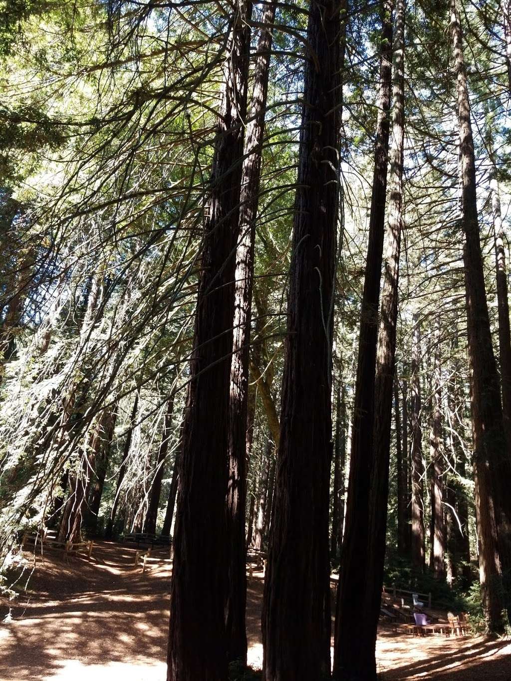 Bridgeview Trail at Monterey Blvd | 37°4903. 122°1216., 9 4th St, Oakland, CA 94607, USA