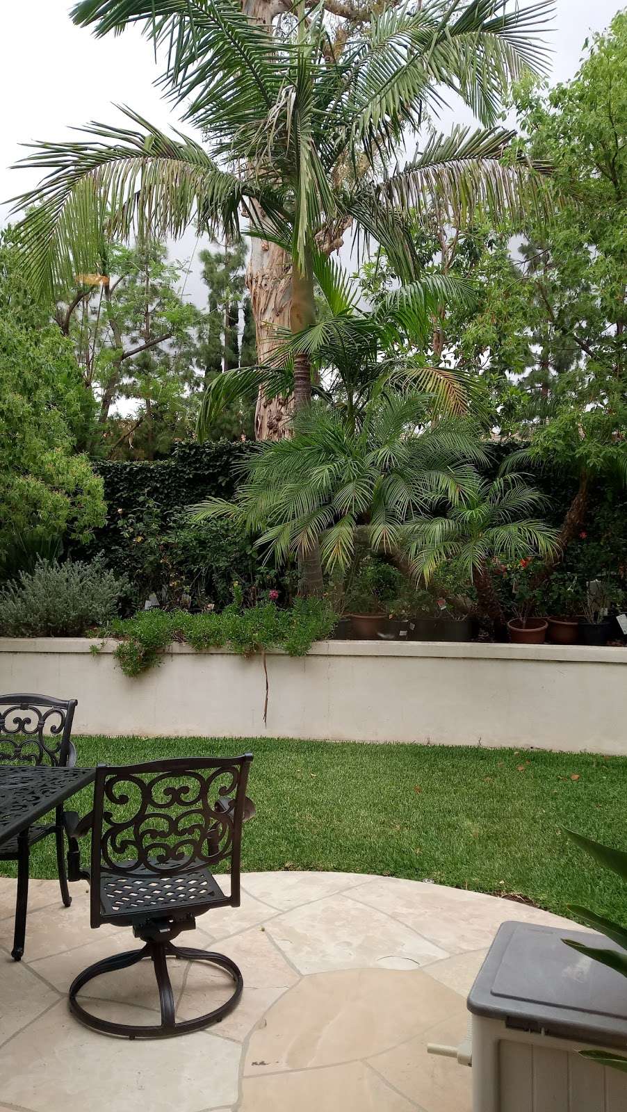 Citrusglen Park | Citrusglen, Irvine, CA 92620, USA