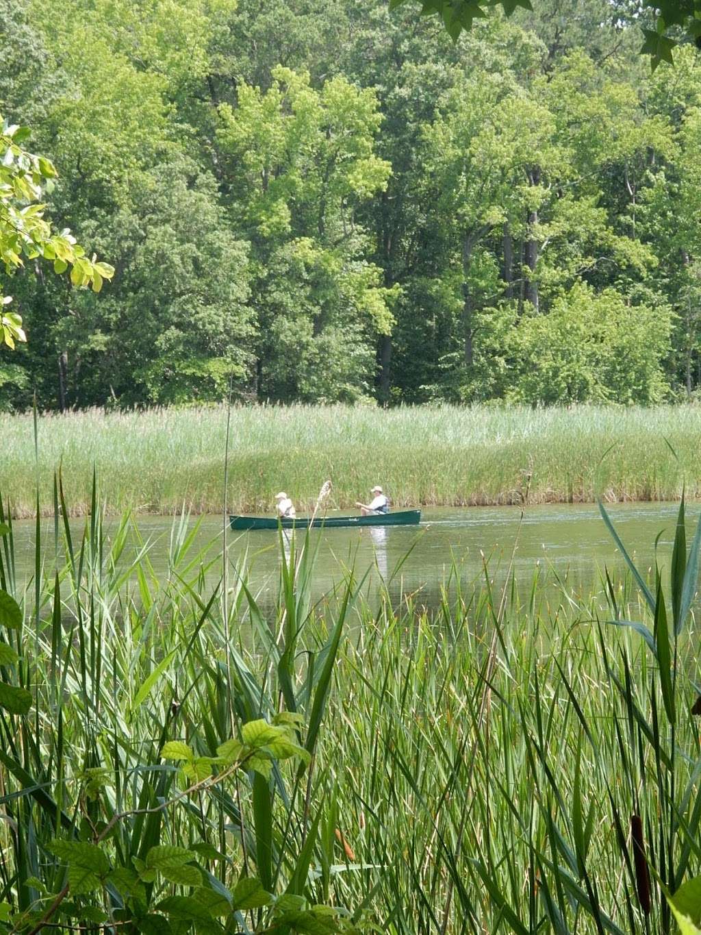 Dundee Natural Environment Area | Middle River, MD 21220, USA