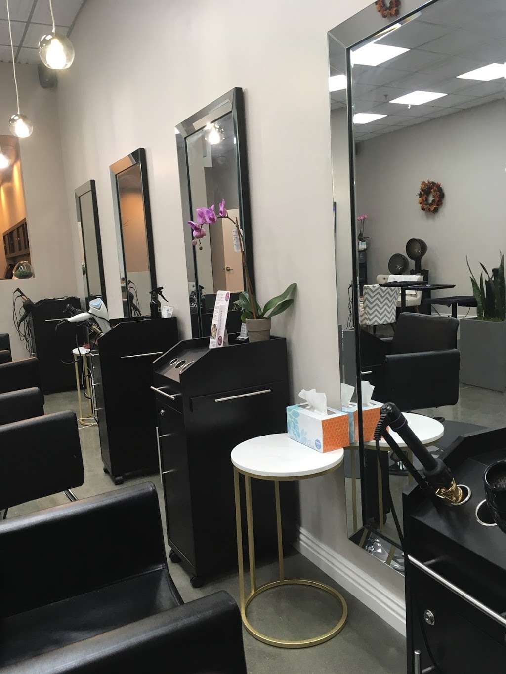 Salon Del Sur | 7825 Highlands Village Pl #102e, San Diego, CA 92129, USA | Phone: (858) 484-4073