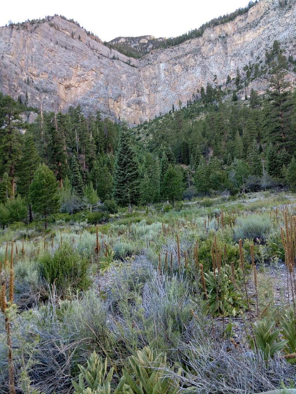 Mary Jane Falls Trail Head | 6-34 Kyle Canyon Rd, Mt Charleston, NV 89124, USA | Phone: (702) 872-5486