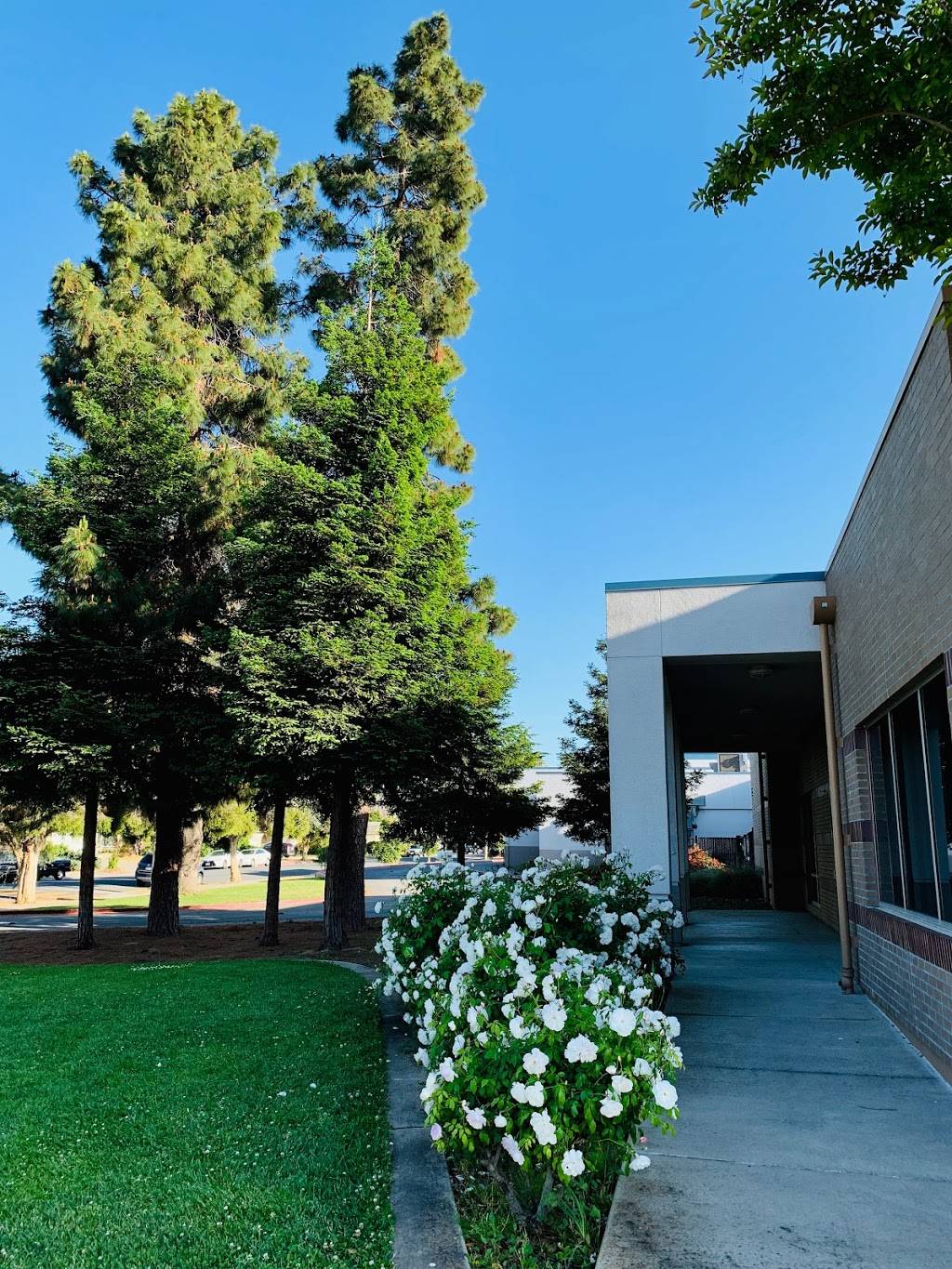 Sam H. Lawson Middle School | 10401 Vista Dr, Cupertino, CA 95014, USA | Phone: (408) 255-7500