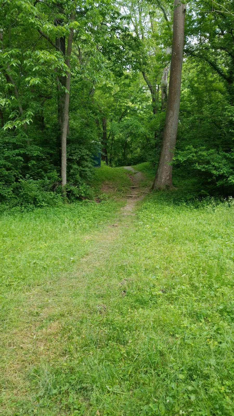 Licking Creek Campsite | Big Pool, MD 21711, USA