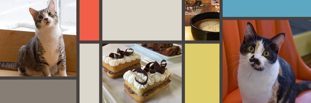 Mauhaus Cat Cafe | 3101 Sutton Blvd, Maplewood, MO 63143, USA | Phone: (314) 384-2287