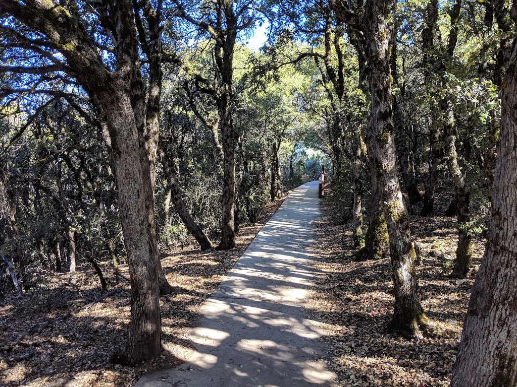 Fire Interpretive Trail | Fire Interpretive Trail, Walnut Creek, CA 94598, USA