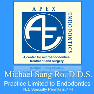 Apex Endodontics | 1 Dewolf Rd #207, Old Tappan, NJ 07675 | Phone: (201) 750-7857
