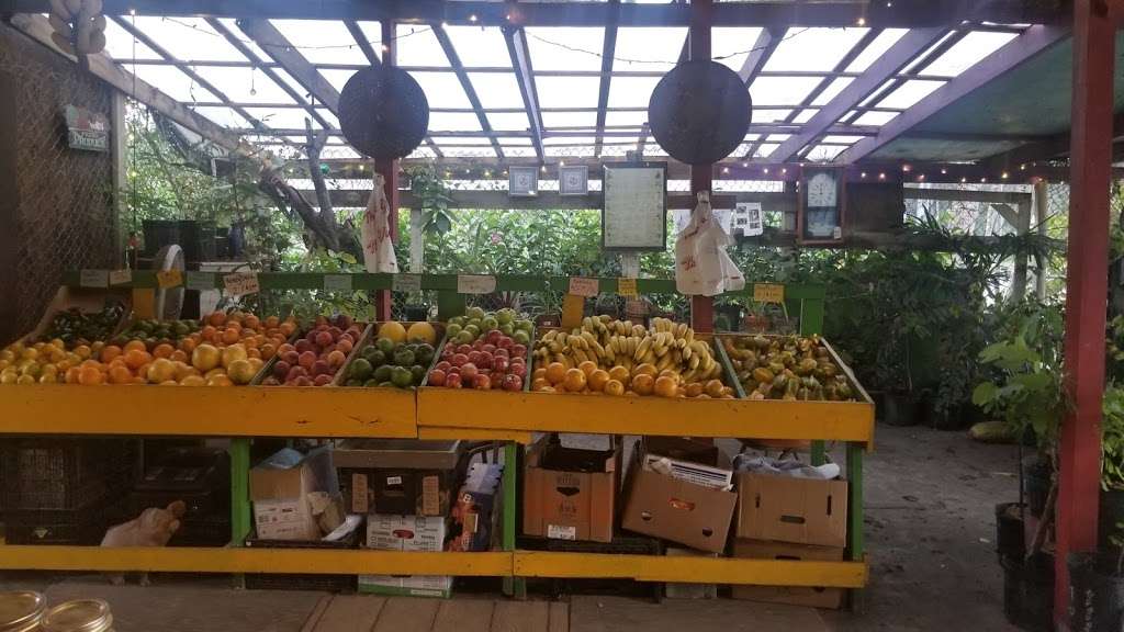 Caribbean Plants and Produce | 13527 Okeechobee Blvd, Loxahatchee Groves, FL 33470, USA | Phone: (561) 225-1056