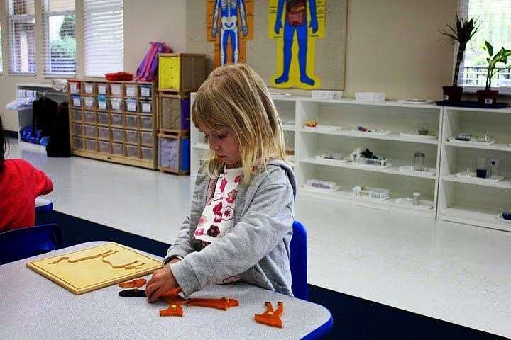 Learn and Play Montessori School | 35699 Niles Blvd, Fremont, CA 94536 | Phone: (510) 648-2939