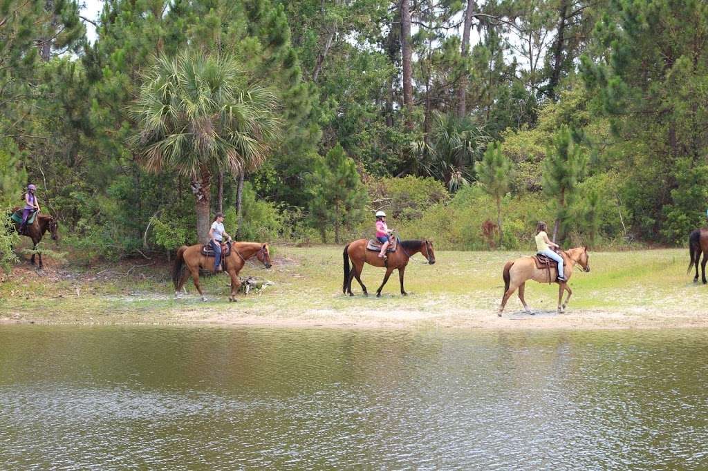 Horseback Trail Rides | 1020 Camp Rd, Cocoa, FL 32927, USA | Phone: (321) 632-7085