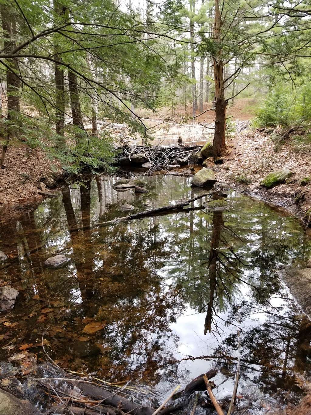 Grater Woods Trail | Gateway Trail, Merrimack, NH 03054, USA